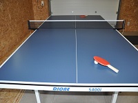 Professionele pingpong tafel met palletjes